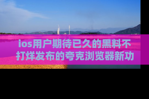 ios用户期待已久的黑料不打烊发布的夸克浏览器新功能上线啦!