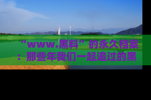 “www.黑料”的永久档案:那些年我们一起追过的黑料真相