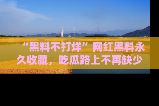 “黑料不打烊”网红黑料永久收藏,吃瓜路上不再缺少惊喜与乐趣