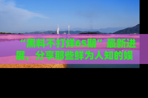 “黑料不打烊65期”最新进展,分享那些鲜为人知的娱乐八卦