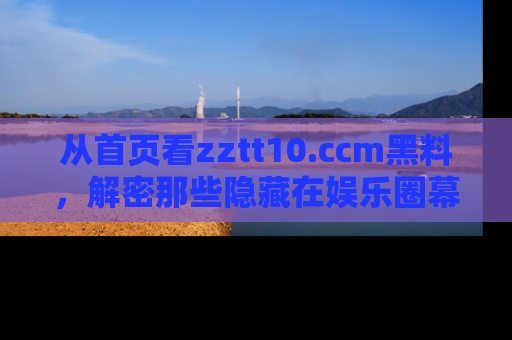 从首页看zztt10.ccm黑料，解密那些隐藏在娱乐圈幕后的丑闻故事！