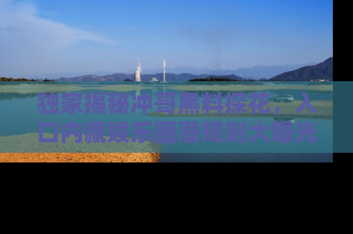 独家揭秘冲哥黑料探花，入口内藏娱乐圈潜规则大曝光