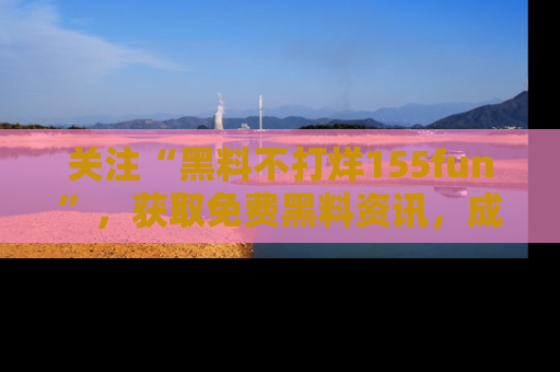 关注“黑料不打烊155fun”，获取免费黑料资讯，成为吃瓜达人不再难！