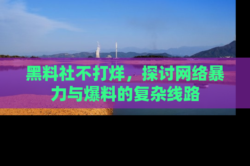 黑料社不打烊，探讨网络暴力与爆料的复杂线路