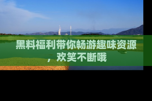 黑料福利带你畅游趣味资源，欢笑不断哦