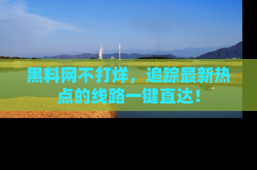 黑料网不打烊，追踪最新热点的线路一键直达！