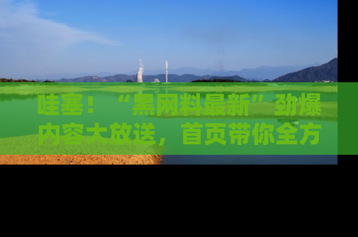 哇塞！“黑网料最新”劲爆内容大放送，首页带你全方位了解哦，小可爱们