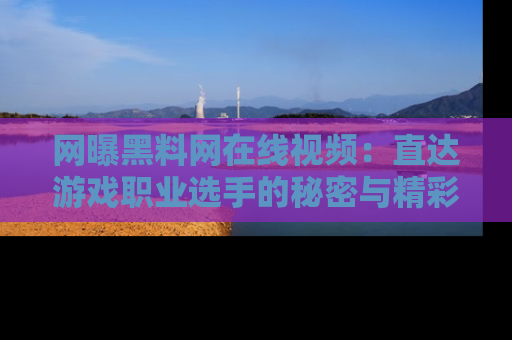 网曝黑料网在线视频：直达游戏职业选手的秘密与精彩动漫片段！