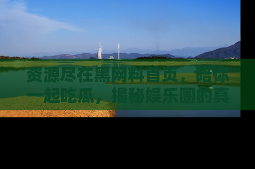 资源尽在黑网料首页,陪你一起吃瓜,揭秘娱乐圈的真实内幕